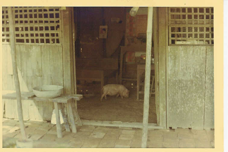QL4SubD